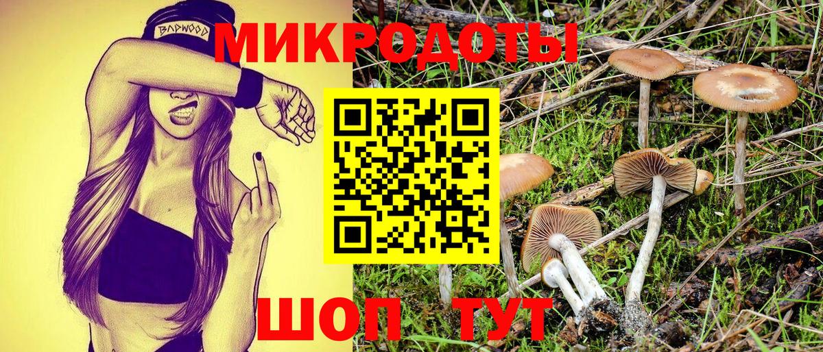 Карабулак  Галлюциногенные грибы Psilocybe  Галлюциногенные грибы мицелий  Вход с VPN 