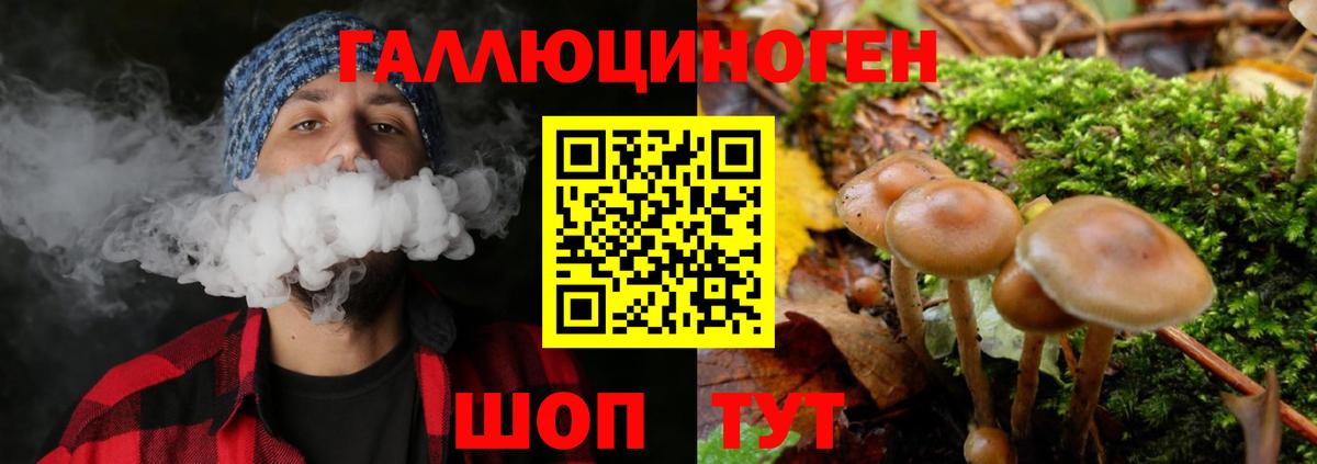Псилоцибиновые грибы прущие грибы Карабулак